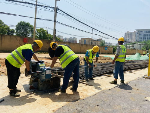 白沙洲的這條路有望年底全部翻新,還將新增非機(jī)動(dòng)車道和人行道